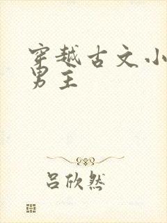 穿越古文小说双男主