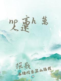 np 高h 万人迷