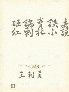 砸锅卖铁去上学红刺北小说全本下载