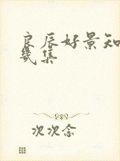 良辰好景知几何几集