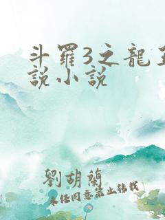斗罗3之龙王传说小说