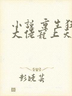 小说 重生狂妻大佬宠上天