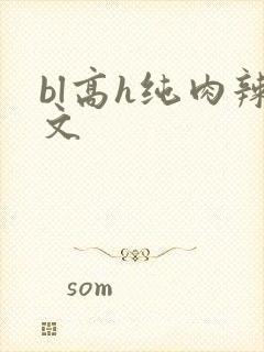 bl高h纯肉辣文