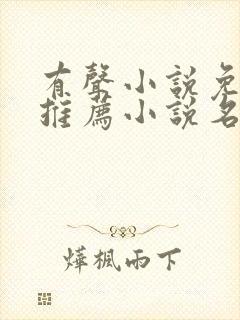 有声小说免费听推荐小说名