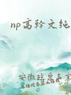 np高干文纯肉