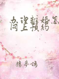 办理离婚怎么在网上预约