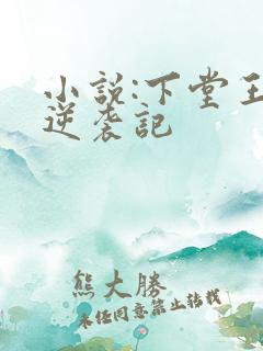 小说:下堂王妃逆袭记