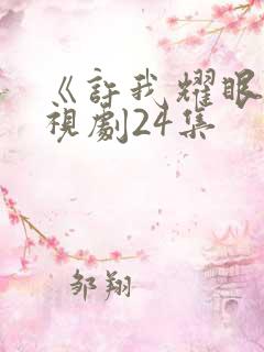 《许我耀眼》电视剧24集