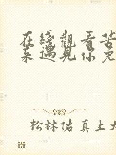 在线观看苦尽柑来遇见你免费