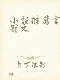 小说推荐言情甜宠文