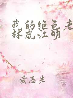 我的绝色老板娘林岚江明