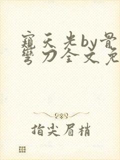 窥天光by骨色弯刀全文免费阅读笔趣阁