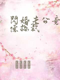 闪婚老公竟是千亿总裁