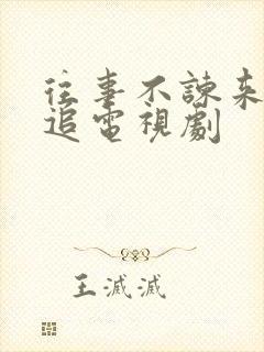 往事不谏来日可追电视剧