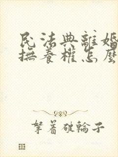 民法典离婚小孩抚养权怎么判定