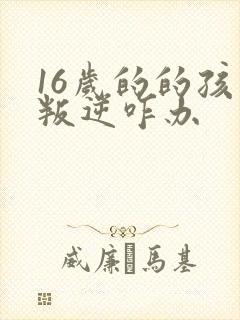 16岁的的孩子叛逆咋办