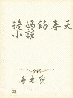 后妈的春天阅读小说