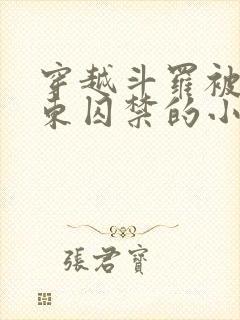 穿越斗罗被比比东囚禁的小说