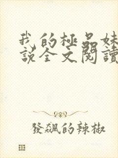 我的极品妹妹小说全文阅读免费