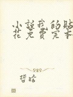 小说我的贴身校花免费完本