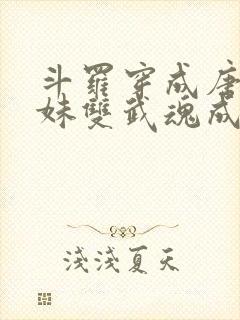 斗罗穿成唐三亲妹双武魂成神了免费阅读