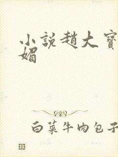 小说赵大宝,苏媚