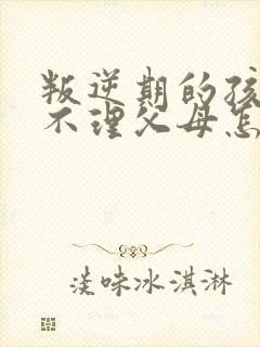 叛逆期的孩子她不理父母怎么办