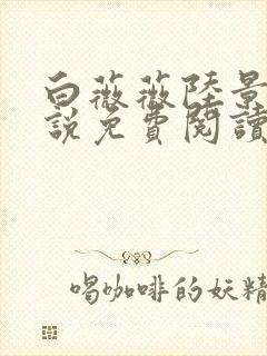 白薇薇陆景宸小说免费阅读最新章节