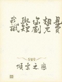 我与你相见不相识短剧免费观看全集