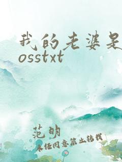 我的老婆是大bosstxt