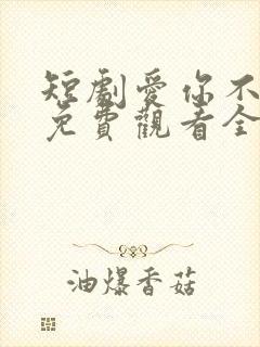 短剧爱你不逢时免费观看全集高清