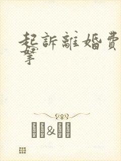 起诉离婚费用谁拿