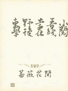 东野圭吾小说放学后在线阅读