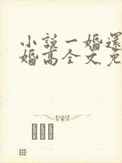 小说一婚还比一婚高全文免费阅读