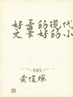 好看的现代言情文笔好的小说