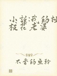 小说:我的极品校花老婆