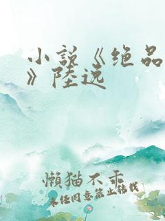 小说《绝品神医》陆逸