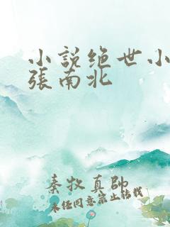 小说绝世小仙医张南北