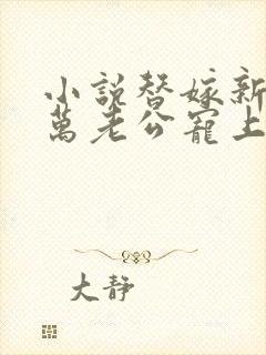 小说替嫁新娘亿万老公宠上天