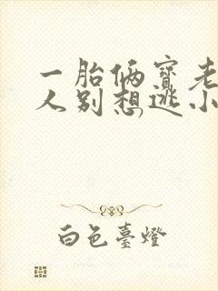 一胎俩宝老婆大人别想逃小说