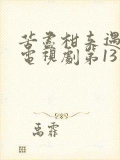 苦尽柑来遇见你电视剧第13集