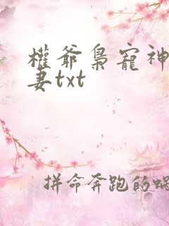 权爷枭宠神秘娇妻txt
