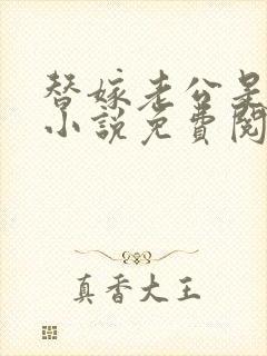 替嫁老公是大佬小说免费阅读