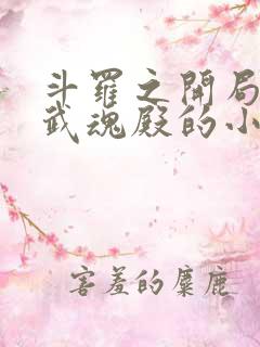 斗罗之开局加入武魂殿的小说