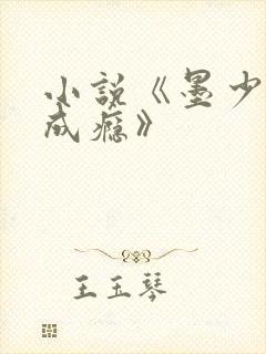 小说《墨少宠妻成瘾》