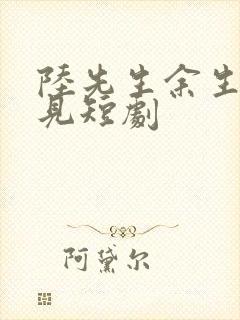 陆先生余生不再见短剧