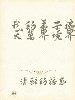 我的弟子遍布诸天万界境界划分