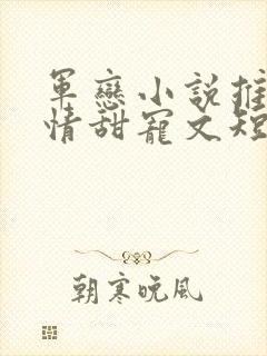 军恋小说推荐言情甜宠文短篇小说