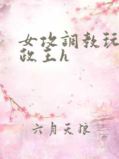 女攻调教玩弄摄政王h