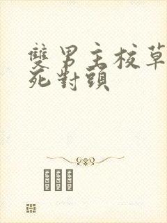 双男主校草校霸死对头